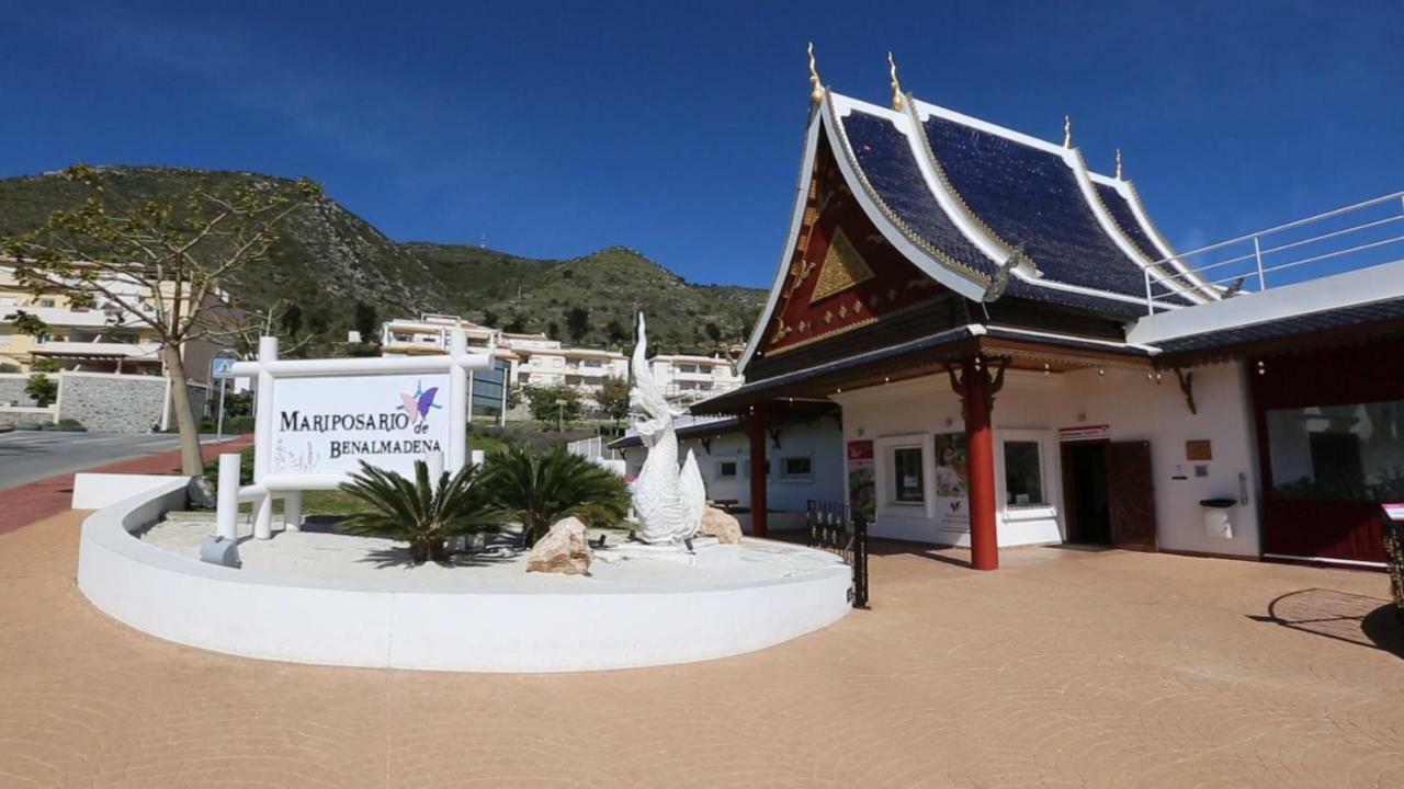 Mar Del Sur Apartamentos- Piscina Y Playa - Parking Gratis 贝纳尔马德纳 外观 照片